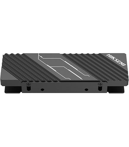 Hiksemi Future Lite 1TB Gen4 M.2 NVMe 3D NAND Internal Solid State