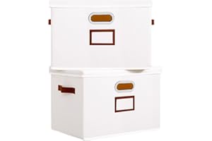 OUTBROS Lot de 2 Boîte de Rangement, Paniers de rangement Pliables avec Couvercle et Poignées, Caisses de rangement en Tissu Lavable, pour Vêtement, Magazine pour Maison (Blanc, 45x30x30cm)