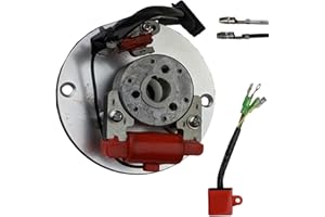 RedCap Magneto Coil Stator Inner Rotor Kit for 50cc-125cc XR50 CRF50 CRF70 Z50 Dirt Pit Bike Compatible with XR/CRF 50 70 BBR SDG SSR Coolster Thumpstar Sikk MX Chinese Horizontal Kick Start Engines