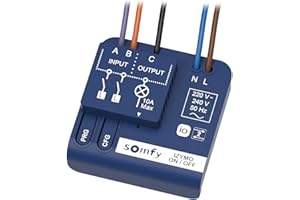 Somfy 1822649 - Micro-récepteur d'éclairage on/Off IZYMO | Technologie IO-homecontrol | Compatible app Tahoma