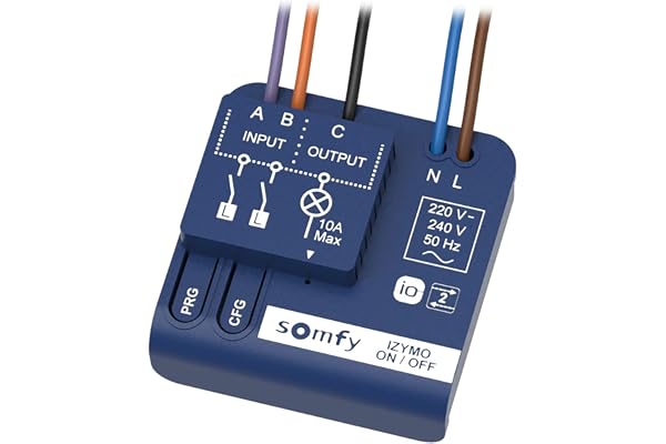 Somfy 1822649 - Micro-récepteur d'éclairage on/Off IZYMO | Technologie IO-homecontrol | Compatible app Tahoma
