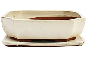 EXOTENHERZ bonsaï Bol avec soucoupe gr. 4 – Rectangulaire G117 – Beige clair – L 25,5 cm – L 19,5 cm – H 8,2 cm