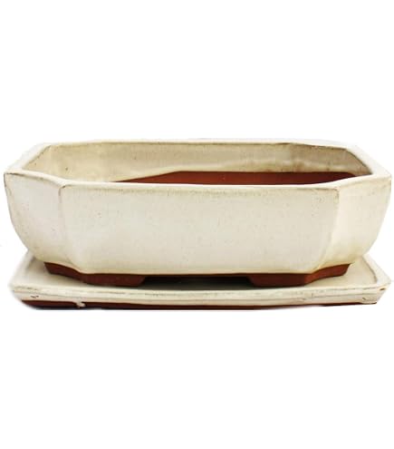 Bol à Bonsaï Rectangulaire Avec Soucoupe - Beige Clair Taille 5 Modèle GB5 - 31x25x10 Cm - Élégance Naturelle En Céramique Yixing