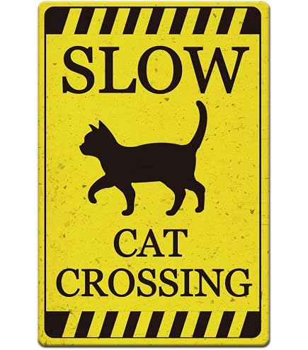 Panneau d'avertissement en métal pour voiture Zone Kangourou Australie 30,5 x 30,5 cm Panneau d'avertissement en métal pour voiture Zone Kangourou Australie 30,5 x 30,5 cm