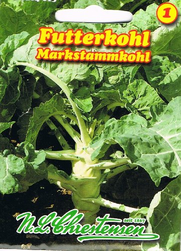 Futterkohl Markstammkohl