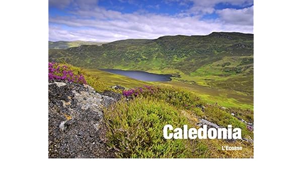 Caledonia Lecosse En Photos Paysages Le Photon Voyageur - 