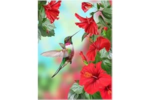 DCIDBEI DIY 5D Diamante Cuadrado Pintura Arte Kits de Colibríes y Flores Punto de Cruz Bordado Rhinestone Perforación Completa Pintura con Diamantes Lienzo Arte de la Pared Suministros Mosaico Regalo 30X40CM