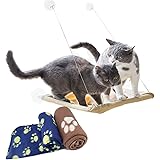 Pourquoi Mon Chat Me Mord D Abord Et Me Leche Ensuite Secrets De Chats