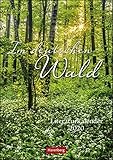 Im deutschen Wald Wochen-Kulturkalender. Wandkalender 2020. Wochenkalendarium. Spiralbindung. Format 25 x 35,5 cm by 
