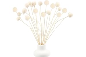 SONGJUM 20 Piezas Ramo de Flores de Bola Dorada Ramo de Flores Secas Decoracion Natural Flor de Bola Blanco para Manualidades Ramo de Boda Hogar Jarrones Mesa Fiesta (Blanco)