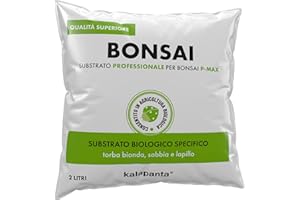 Kalapanta - Terriccio per Bonsai - Mix Torba Bionda, Sabbia e Lapillo, 2 Litri - Biologico Qualità Professionale per Cura e Crescita Ottimale delle Piante