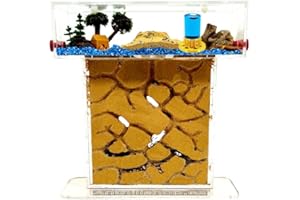 ANTHILLSHOP 【Hormiguero】 Kit T- Pequeño de Arena Natural 20x7x22 - Granja de Hormigas- Hormigas Gratis Incluidas┃de 20-30 Hormigas