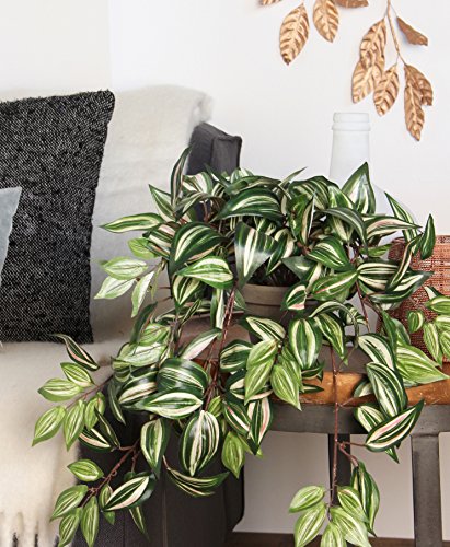 Mica decorations 953284-T Kunstblume -und Pflanze, Tradescantia hängend L80B30H15, grün - 2