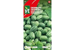 ARBORIX, PLUS VERT - MOINS CHER Cucamelon Concombre du Mexique Graines - Petits fruits à la taille d’un raisin, ressemblant à une mini-pastèque