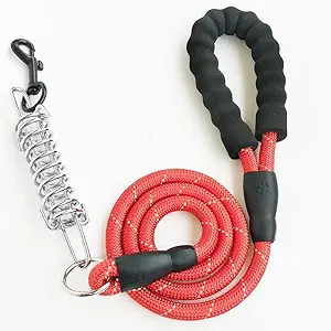 ZOROPETS Strong Dog Leash with Comfortable Padded Handle, Spring and Highly Reflective Threads for Small Medium and Large Dogs
