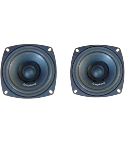 Әдемі жапон әйелдерінің писькилері