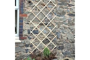 Foglish 6ft x 3 ft Garden Trellis 180cm x 90cm