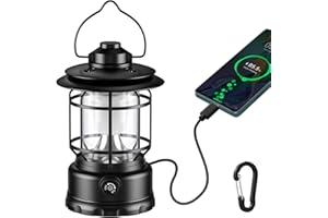 Lsnisni LED Lampada Campeggio, 1000 Lumen Lanterna Campeggio USB-C Ricaricabile, Manopola Dimmer, Batteria Sostituibile, IPX4 Luce Campeggio Impermeabile per Campeggio, Escursione, Power Bank