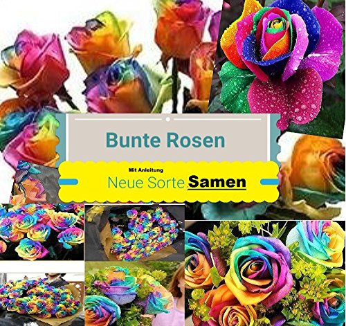25x Regenbogen Rosen Blumensamen Saatgut Blumen Pflanze Anleitung für die Regenbogen Rosen Samen #48