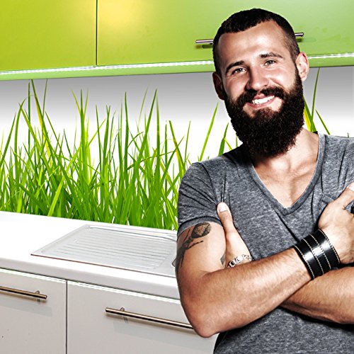 Küchenrückwand selbstklebend Pro " WIESEN GRAS " 60 x 400cm DIY - Do It Yourself