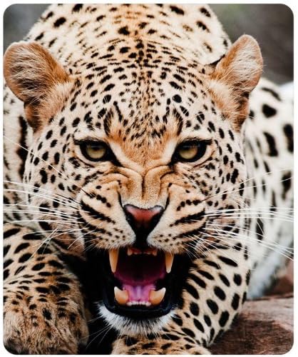 Animal-Roaring Leopard Mouse Pad,Customized Rectangular Mousepad