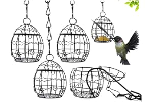 Proveedor de aves al aire libre y colgante en primavera 4 Piezas Loopunk