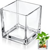 STOBAZA Square Glass Vase 10X10cm Clear Cube Vase Hydroponic Planter Candle Holder for Wedding Table Centerpiece Home Office