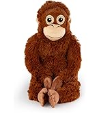 TY - Peluche - Beanie Babies - Cucciolo di Orso - Kodi - Marrone - Orsetto con occhi dorati glitter - Il peluche con gli occhi scintillanti - 28 Cm - 90288