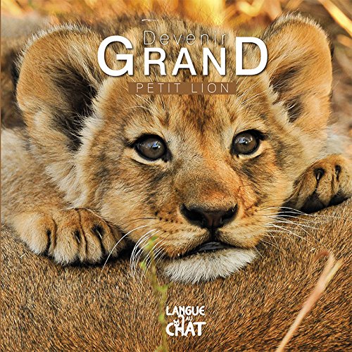 couverture de : Petit lion