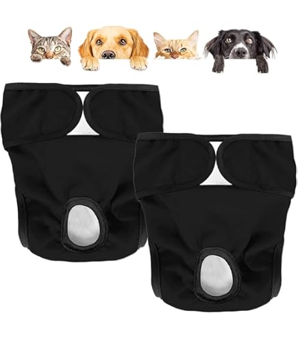 Pannolini Lavabili Per Cagne - Mutandine Assorbenti Riutilizzabili, Taglia M Con Stampa Zampe