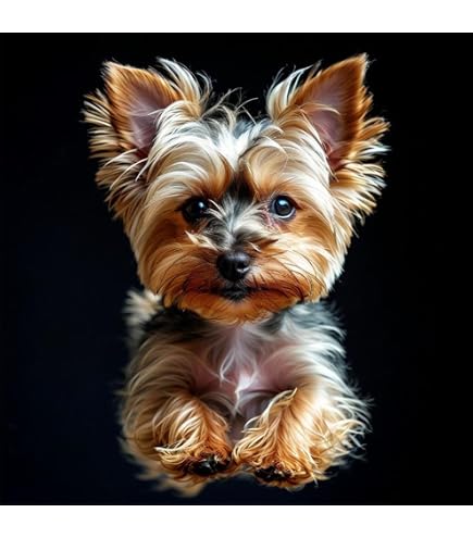 YSCOLOR Diamond Painting Kit De Diamant Peinture 5D Pour Adultes Dessinés À La Main Coloré Yorkshire Terrier Chien Diamant Arts Artisanat 30x40cm