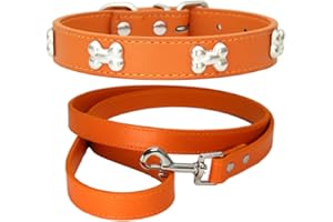 NEUSOP Collare Cane in Pelle Regolabile Guinzaglio per Cani, Collare per Cani, Collari per Cani Gatti Cucciolo Collare per Animali Domestici M