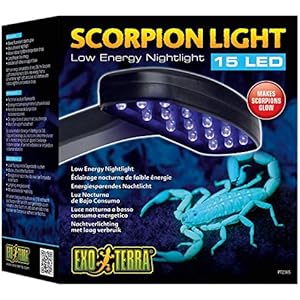 Exo Terra Scorpion Licht - Energiesparendes Nachtlicht