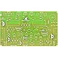 VASP Electronics 200 Watt Hifi Mono Amplifier Board using C5200 A1943 Power transistors- PCB only- Pack of 2