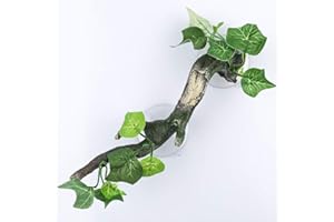 AQUA KT Reptilien Schlangen Eidechsen Kletterzweig Reben Pflanzen Dekoration mit Saugnäpfen für Leopard Geckos Frösche Klettern Reptilien Amphibien Terrarien Habitat Zubehör