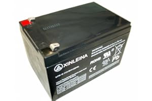 RiiRoo 12V 10AH Rechargeable Battery For Electric Kids Ride On Cars Bikes Quads