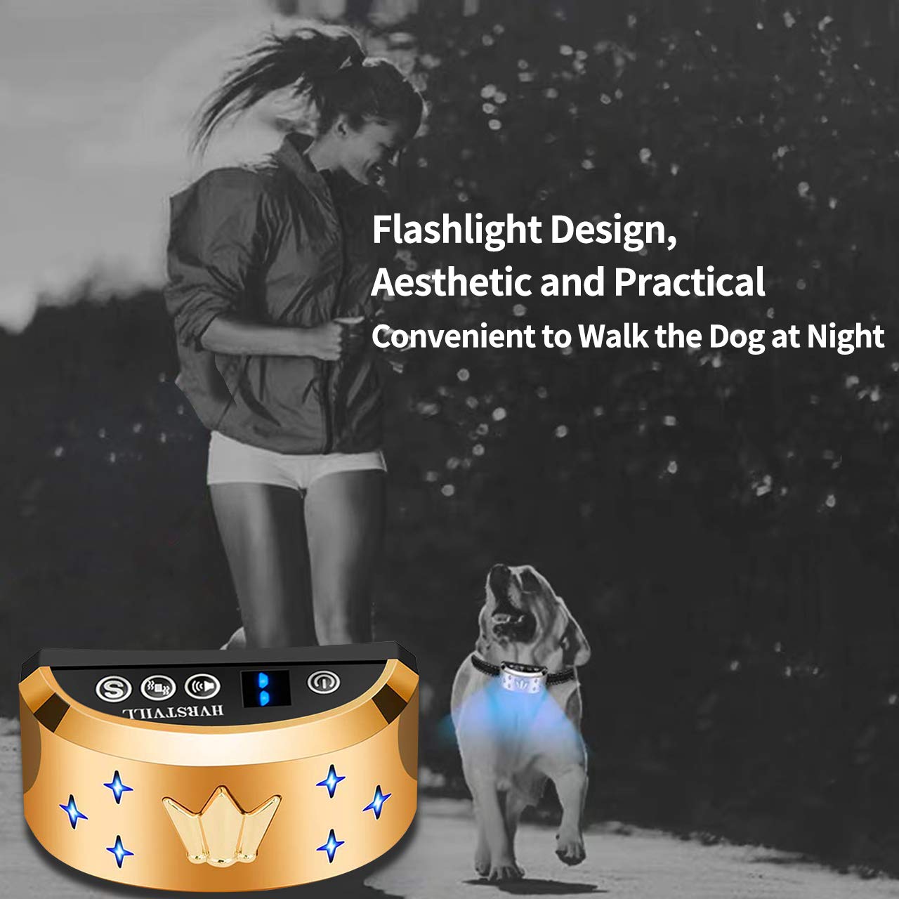 dog training no barking