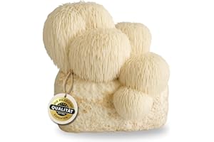 Hawlik Pilzbrut - Pilzzuchtset für Lion's Mane/Hericium erinaceus - BIO Pilzkultur für den einfachen Anbau Zuhause - Igelstachelbart Pilze züchten Set