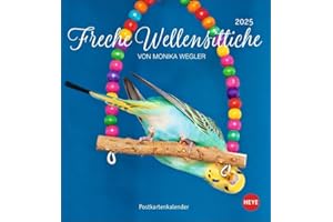 Freche Wellensittiche Postkartenkalender 2025: von Monika Wegler. Die bunten Vögel in einem kleinen Kalender zum Aufstellen und Aufhängen. ... (Postkartenkalender Heye)