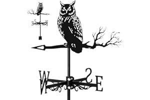 SDYGDB Weather Vane Metal Weather Resistant Wind Direction Indicator Retro Creative Roof Weathercock Roof Decoration Accessories for Outdoor Garden Yard Patio(Standing Eagle)