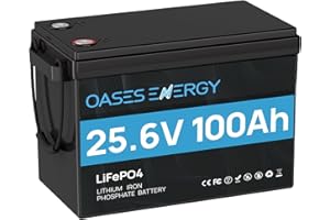 Oasesenergy Batterie Lithium LiFePO4 24V 100Ah Taille super mini, BMS 100A Intégré,Basse température Coupure, 4000-15000 Cycles pour Camping-Car, Système Solaire, Bateaux, Hors-Réseau,Caravanes
