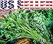 Produktbild AGROBITS 1000 Seeds - Nan Ling Schneiden: 1000+ Organically Nan Ling Grown Schneiden Selleriesamen Seltene Erbstück Nicht-GVO-Usa!
