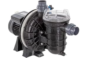 Pentair Pompe Piscine La Sta-Rite 1 CV / 16 m³/h Mono - Noir