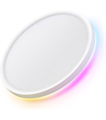 Plafoniera Soffitto LED 45cm Plafoniere a Soffitto Moderna Telecomando App Lampadari Moderni Soggiorno Dimmerabile Luce Soffitto per Camera Da Letto 30w Ovale-White|45CM