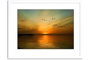 Wee Blue Coo 9x7 '' GEESE BIRD FORMATION SUNSET LAKE FRAMED ART PRINT PICTURE PHOTO F97X366