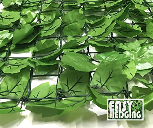 EasyHedging® Roll-Efeuhecke, künstlich, verwandelt unschöne Bereiche & sorgt im Handumdrehen für Sichtschutz, Hellgrün - 3
