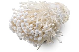 Hawlik Pilzbrut - Cultivo de hongos Enoki