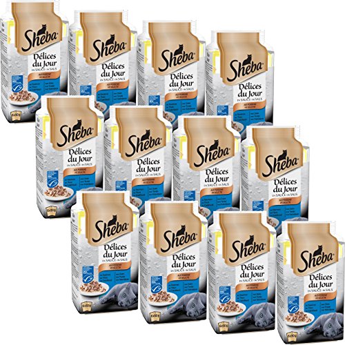 Sheba Délices du Jour - Nourriture Humide pour Chat Adulte - Sélection aux Poissons en Sauce - Sachets Fraîcheur 72 x 50g