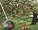 Produktbild UPP Rollsammler GROß MIT 105cm HOLZGRIFF/Obstsammler / Apfelsammler/Nusssammler / Fallobstsammler/Roll / Blitz/Obstpflücker / Walnusssammler/Tennisballsammler / Golfballsammler