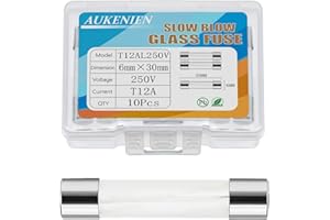 AUKENIEN 12A 12 Ampere Fusibili Vetro Soffiato Lento 6x30MM 250V T12A Fusibile in Vetro di Ritardo del Tubo